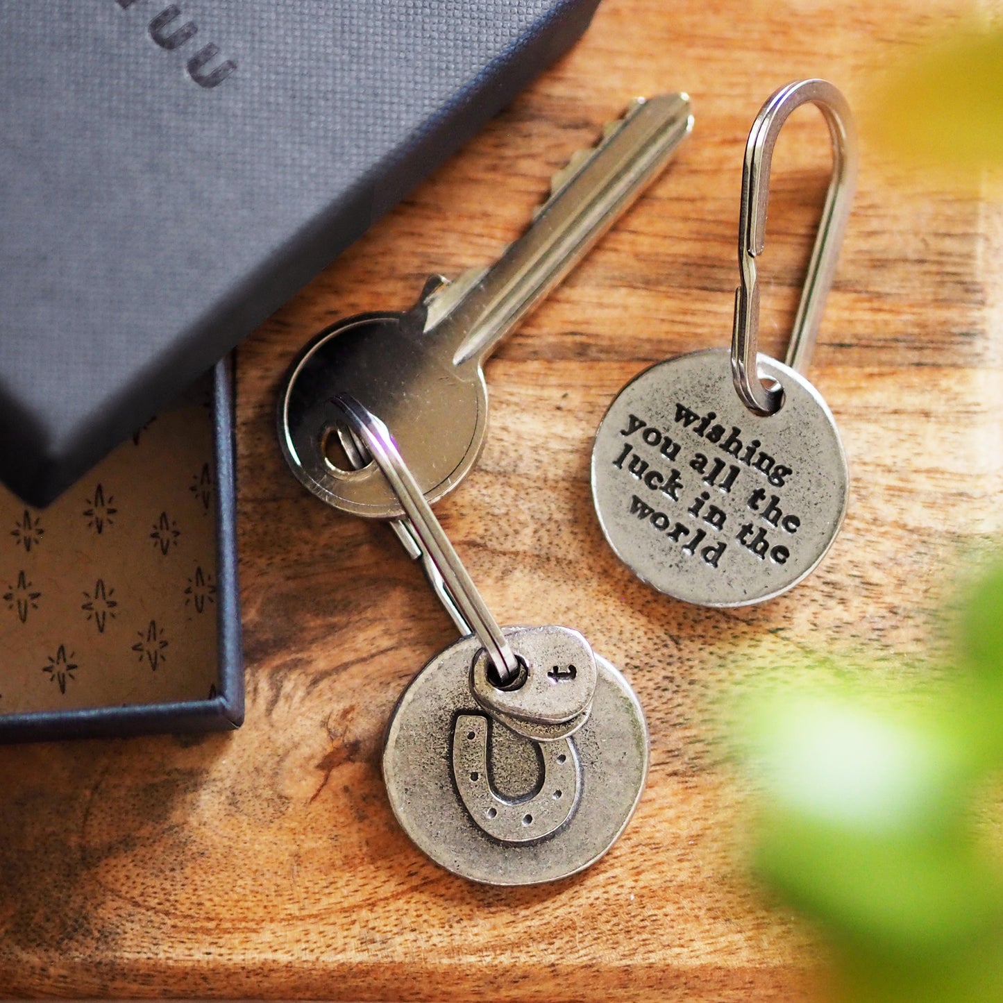 ‘Wishing You all the Luck in the World’ Horseshoe Keyring